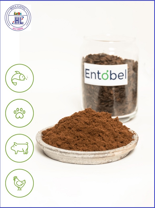 Entobel: startup Việt Nam sản xuất thức ăn chăn nuôi từ Ruồi linh đen top 3 thế giới
